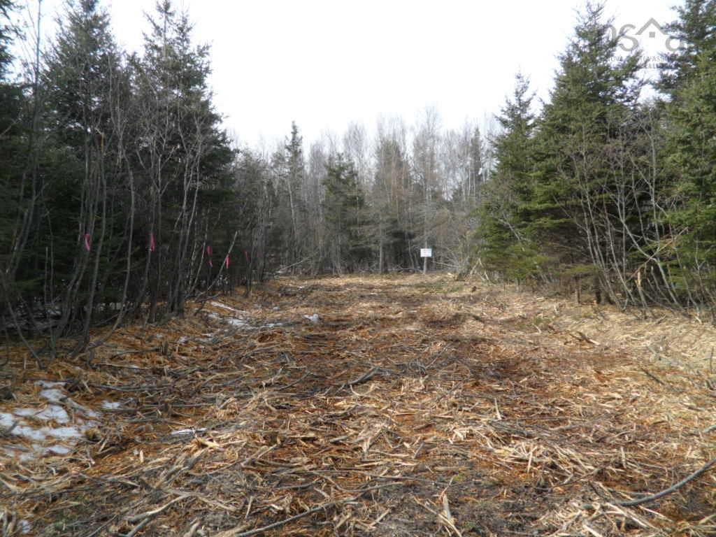 1V Highway 224, Elmsvale, NS