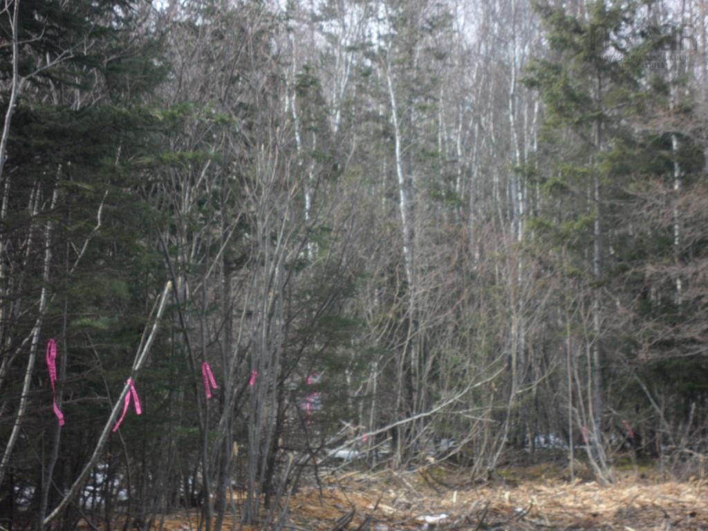 1V Highway 224, Elmsvale, NS