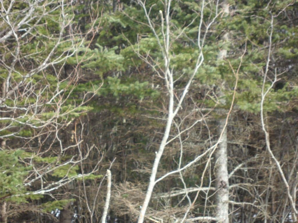 1V Highway 224, Elmsvale, NS