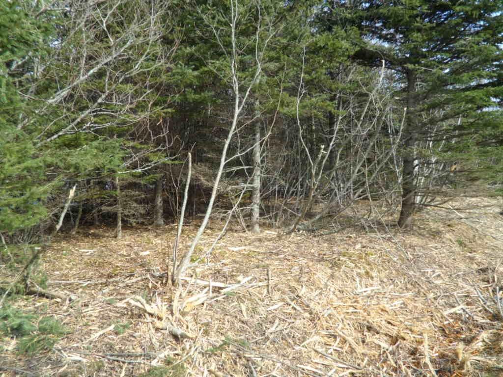 2P Highway 224, Elmsvale, NS