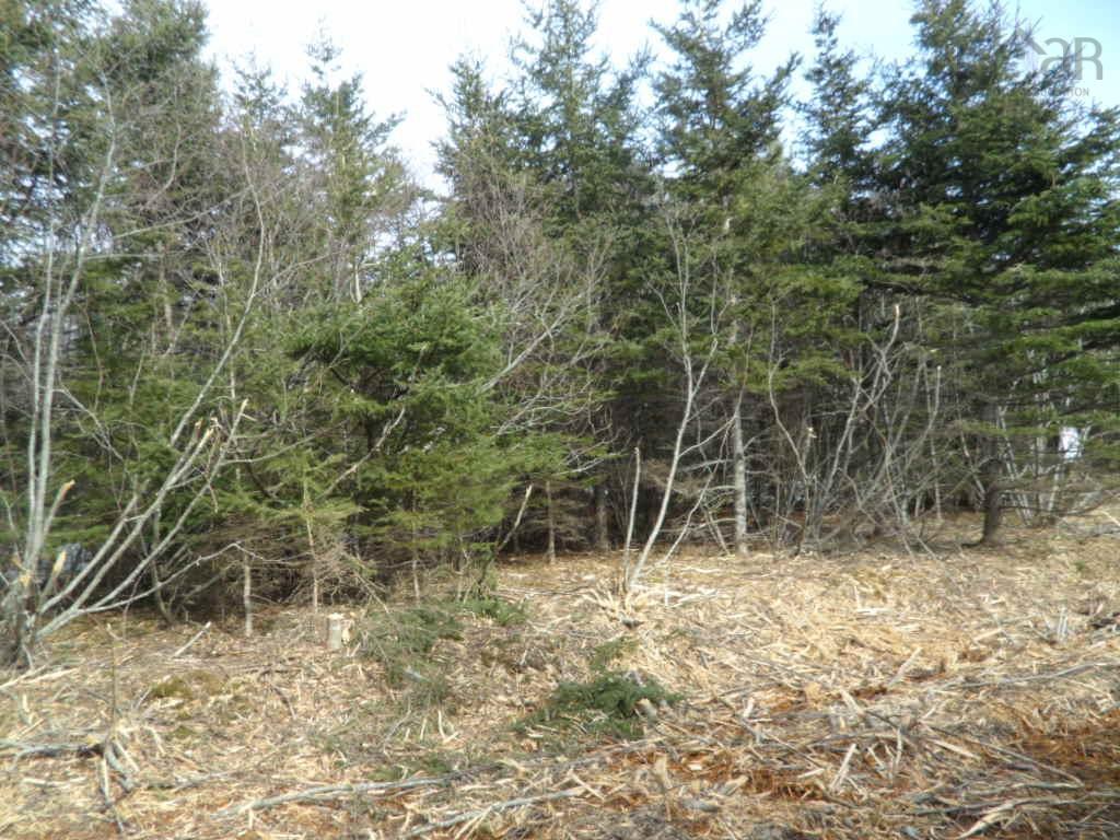 2P Highway 224, Elmsvale, NS