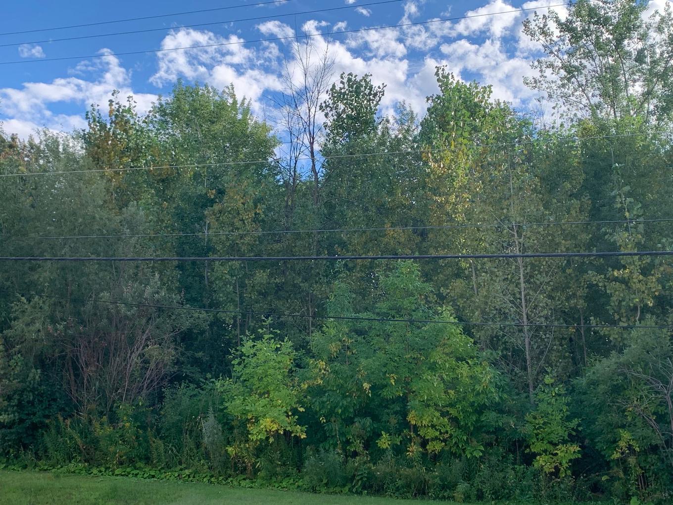 Land/Lot - 100E Avenue, Laval (Chomedey), QC