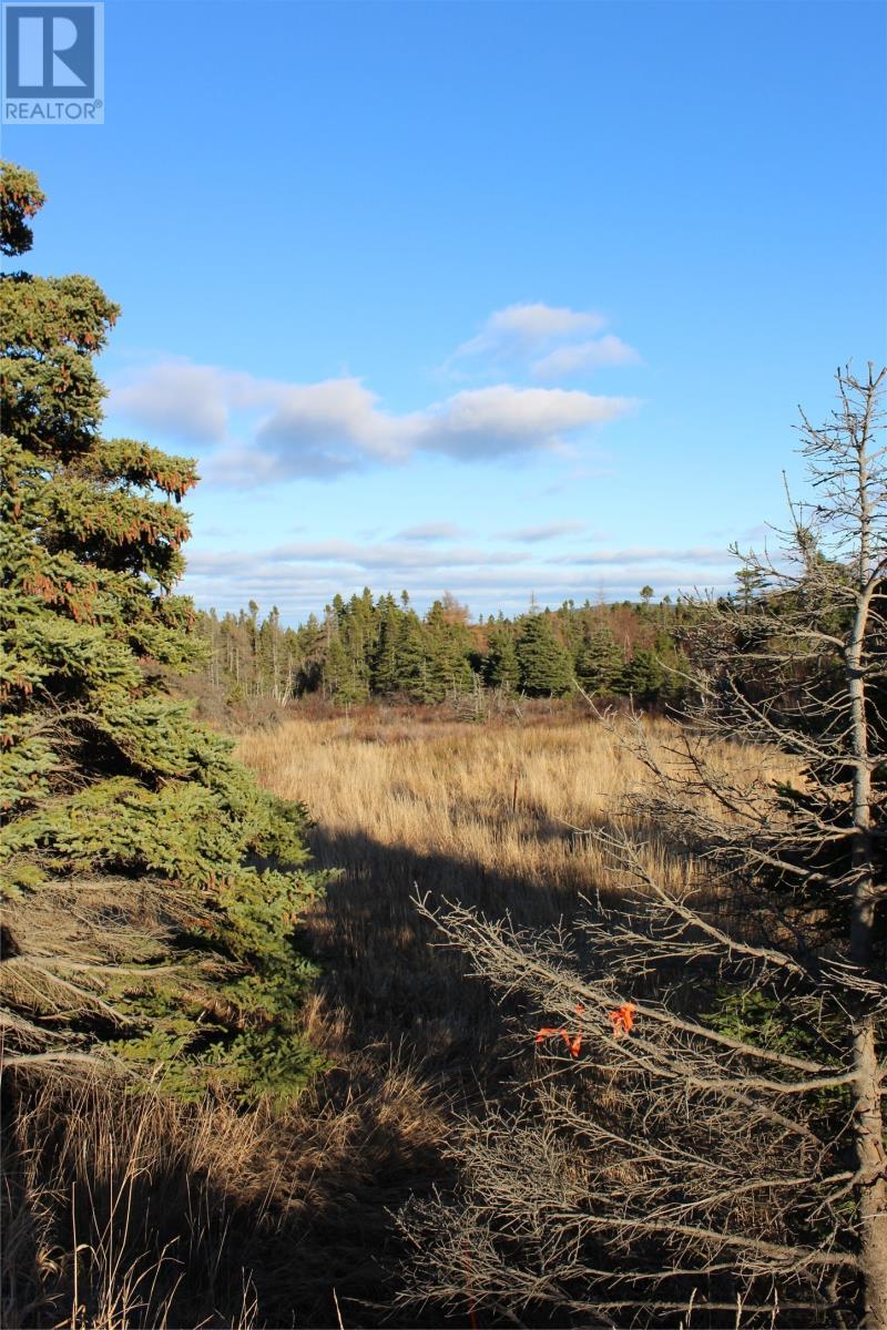 1068-1106 Torbay Road, Torbay, NL