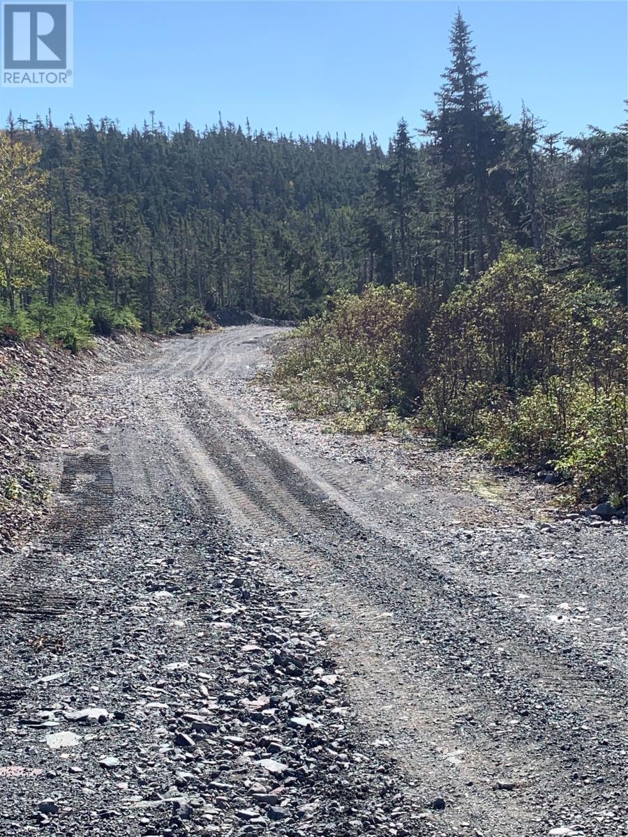 Lot 28 Halleran Trail, Brigus Junction, NL