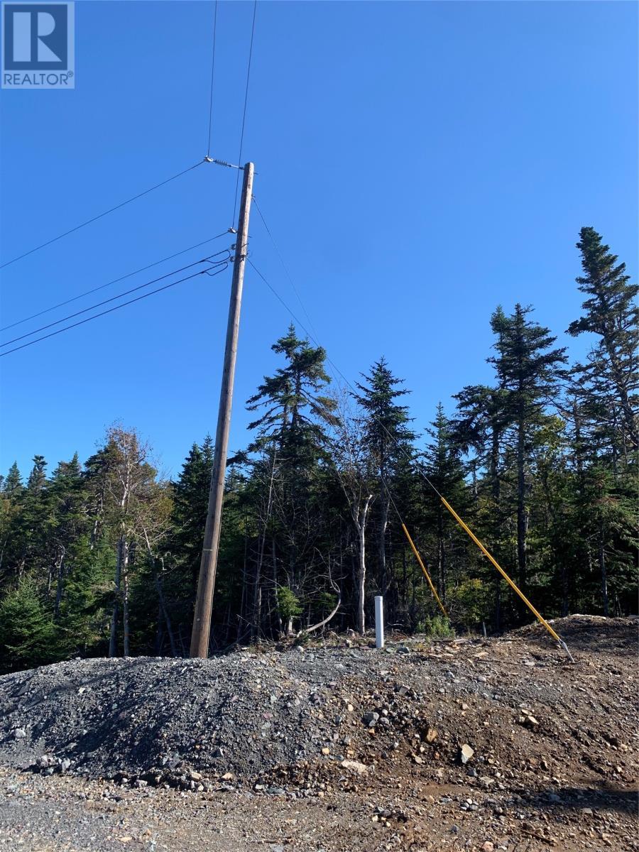 Lot 29 Halleran Trail, Brigus Junction, NL