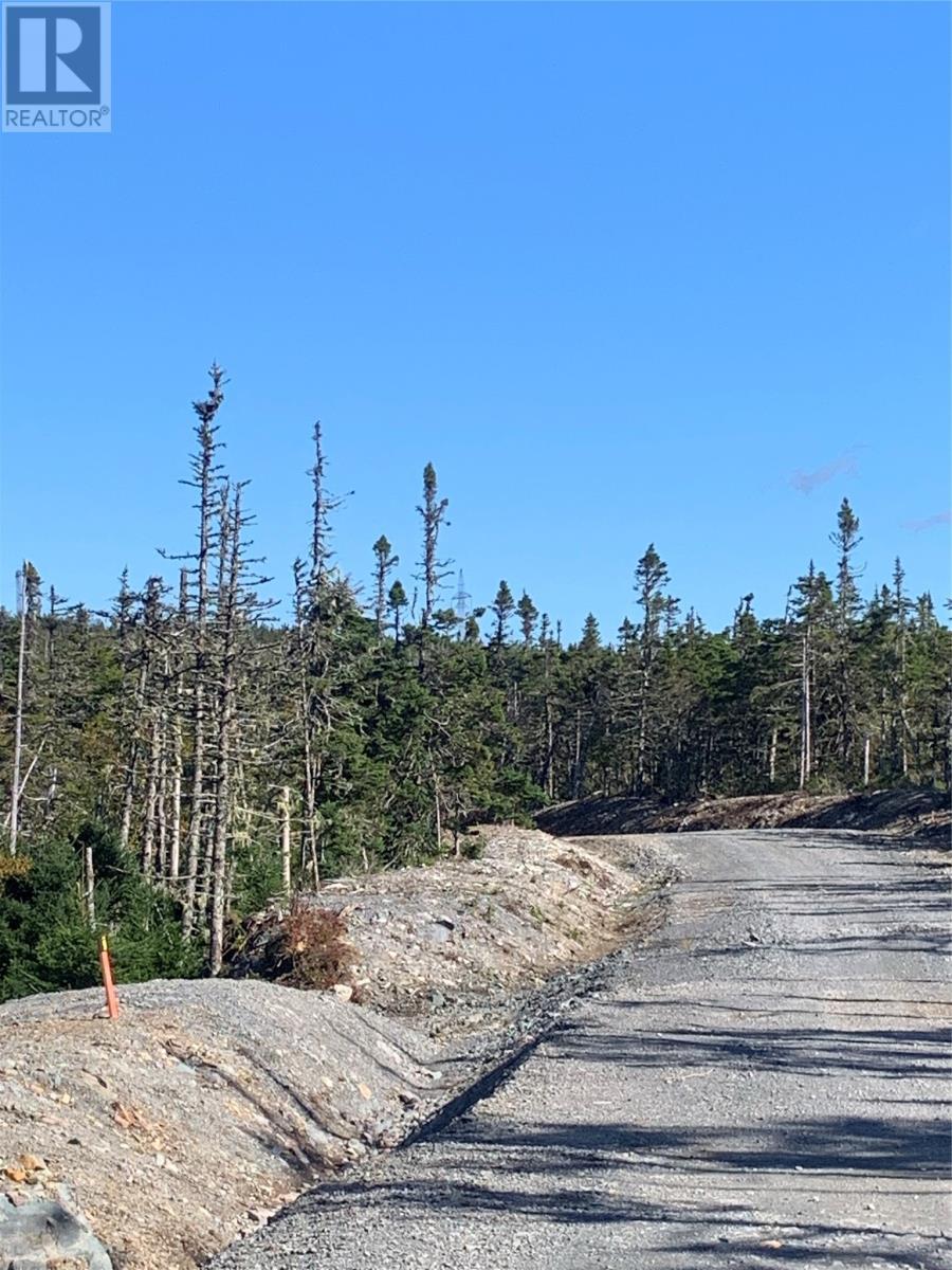 Lot 27 Halleran Trail, Brigus Junction, NL