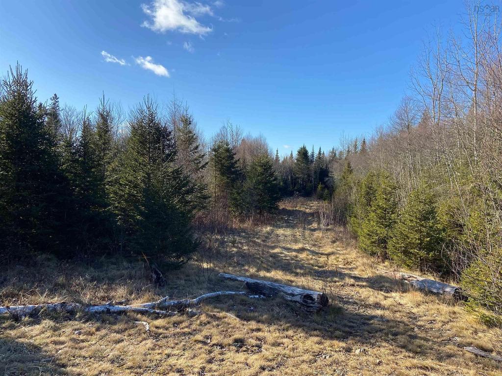 Greg Road, Greenfield, NS