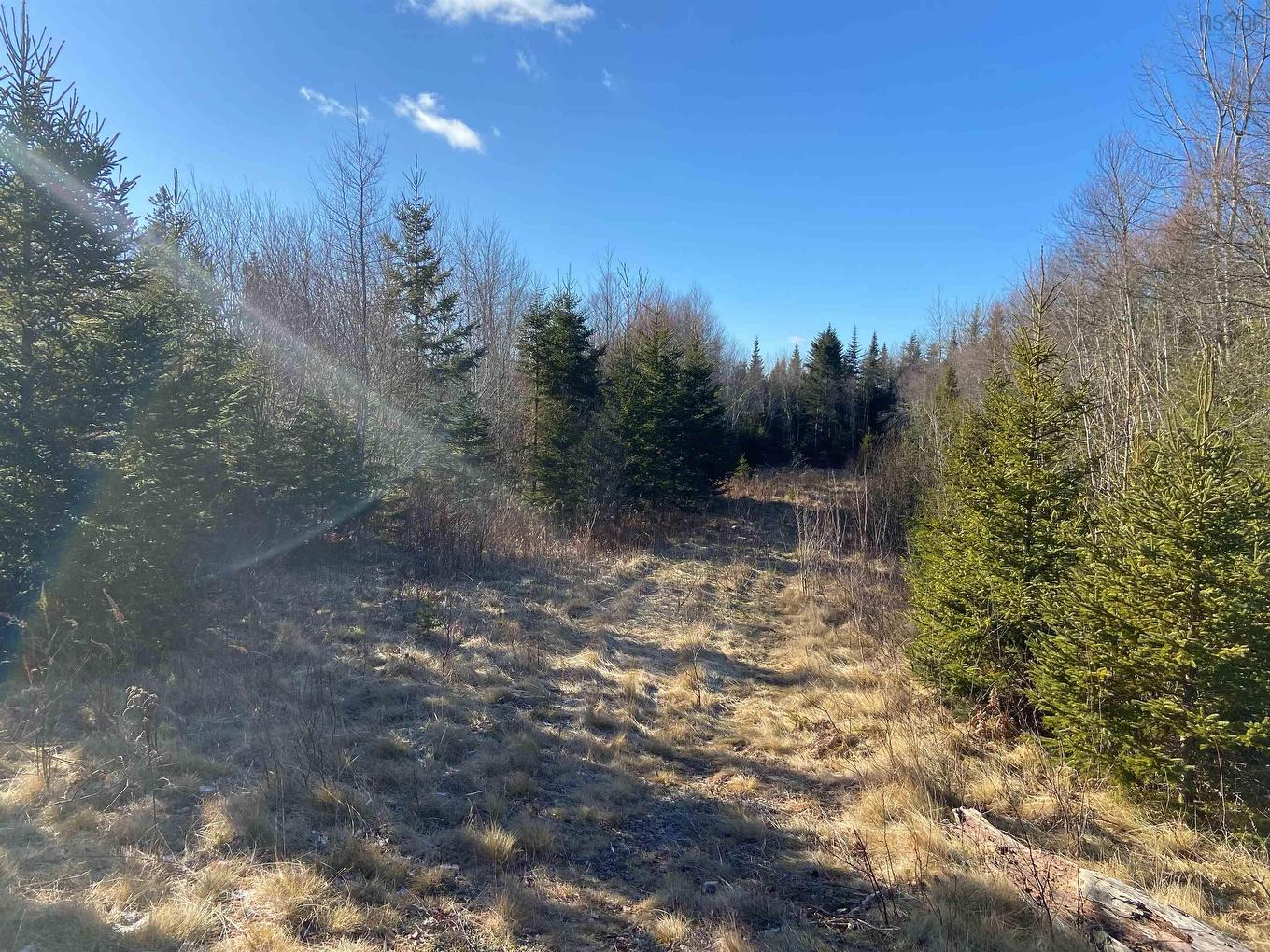 Greg Road, Greenfield, NS