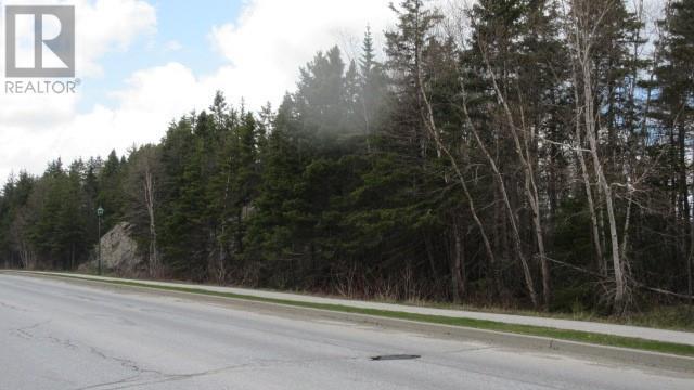 9 Westhaven Drive, Pasadena, NL