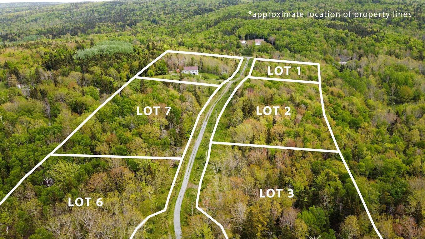 Lot 2 Macleod Pond Road, Roberta, NS
