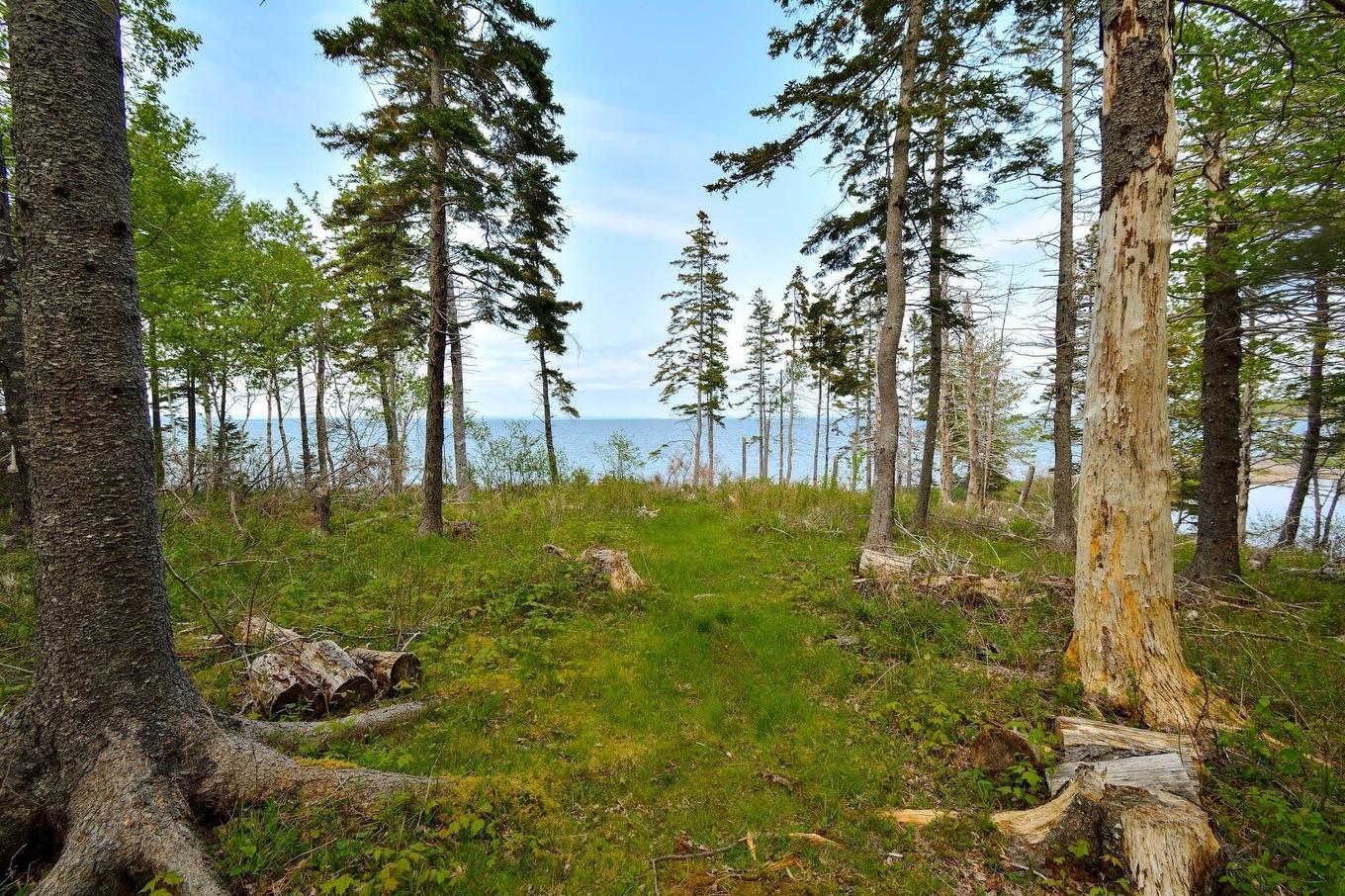 Lot 2 Macleod Pond Road, Roberta, NS