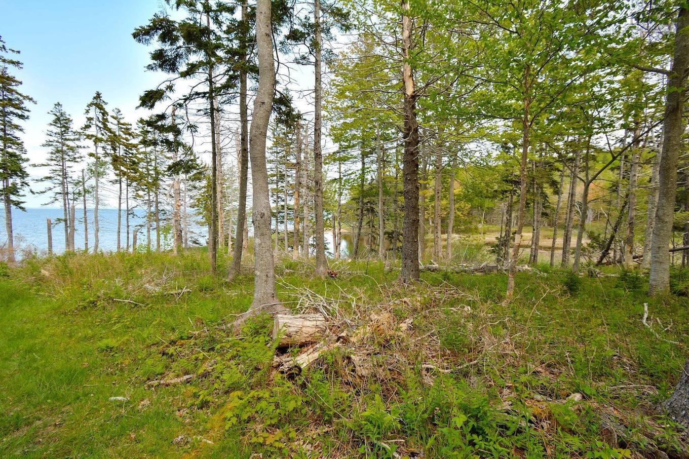 Lot 2 Macleod Pond Road, Roberta, NS