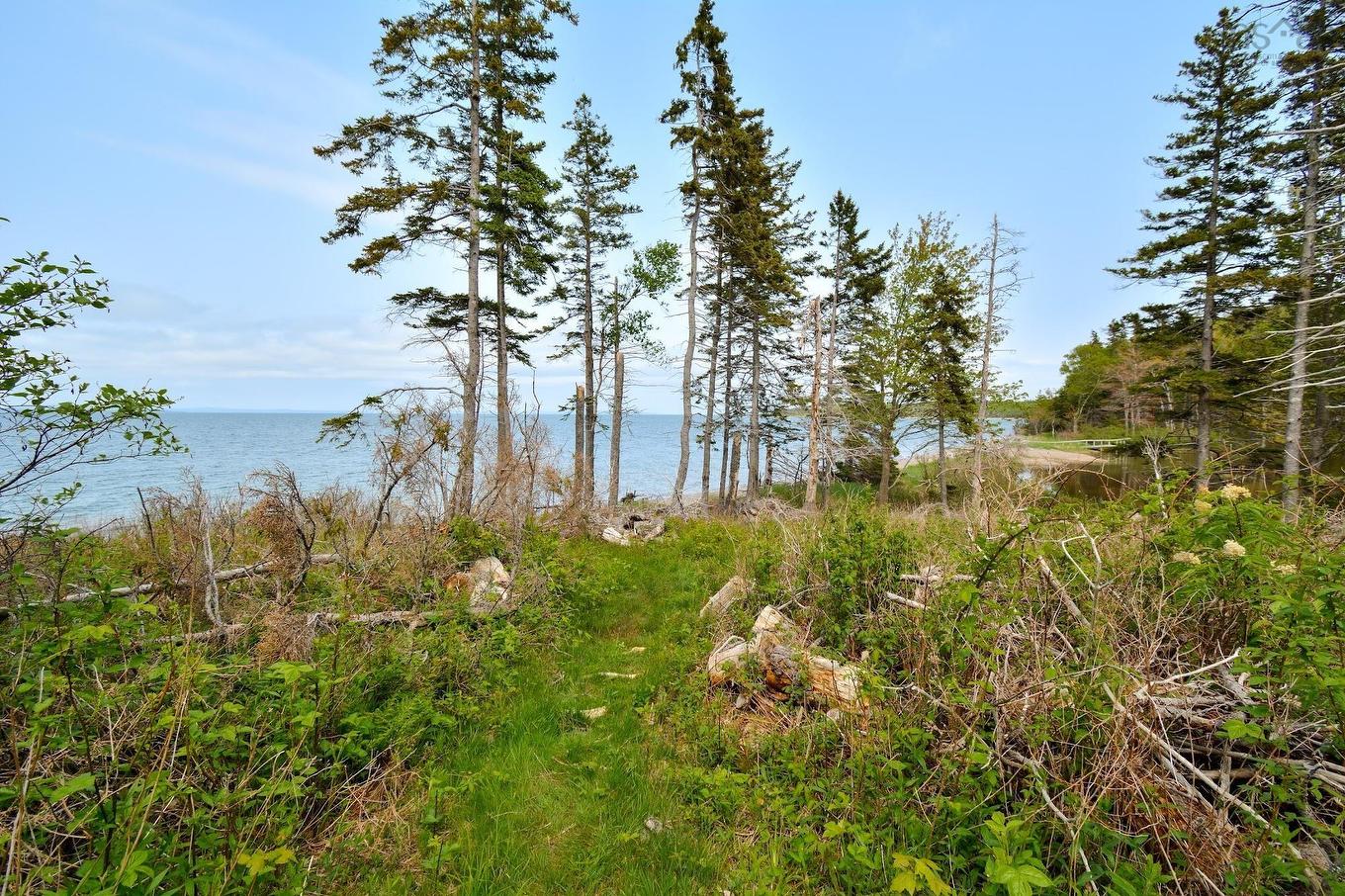 Lot 2 Macleod Pond Road, Roberta, NS