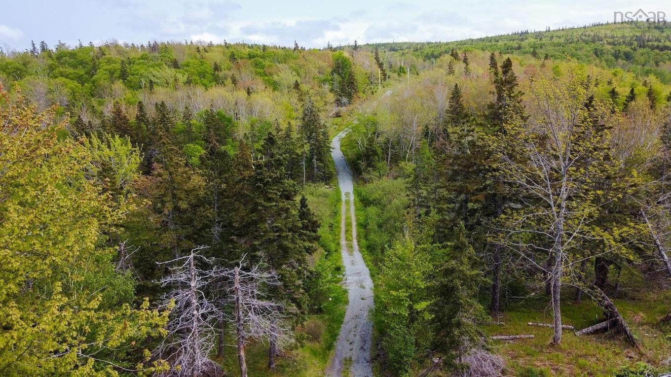 Lot 2 Macleod Pond Road, Roberta, NS