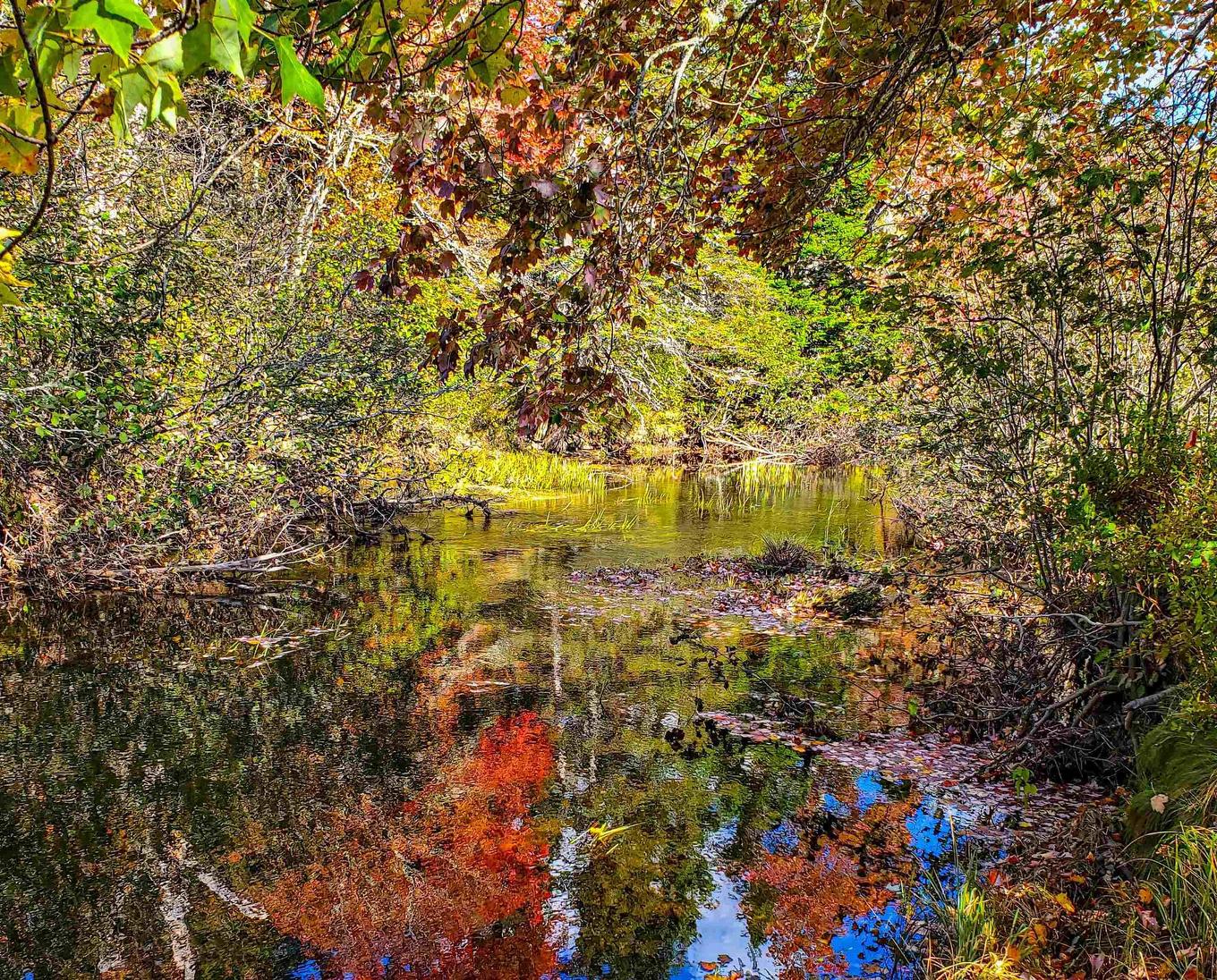 Lot 22-1 Stewiacke Road, South Branch, NS