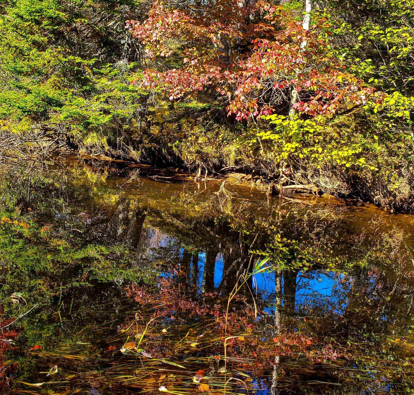 Lot 22-1 Stewiacke Road, South Branch, NS