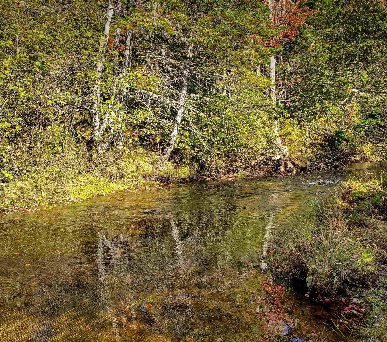 Lot 22-1 Stewiacke Road, South Branch, NS