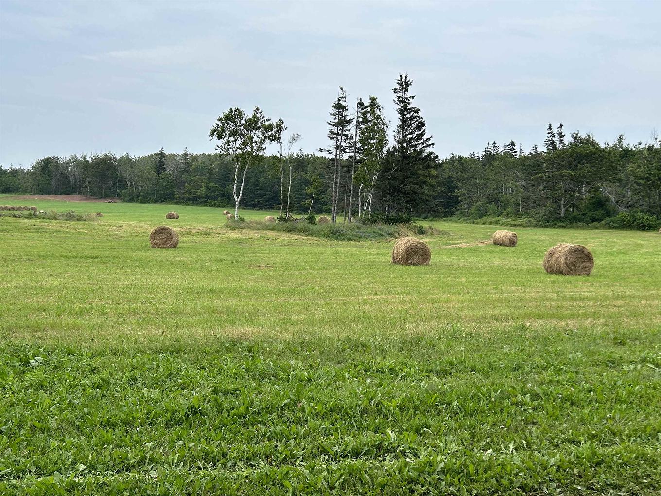 Lot 8 Hugh John Way, Canavoy, PE