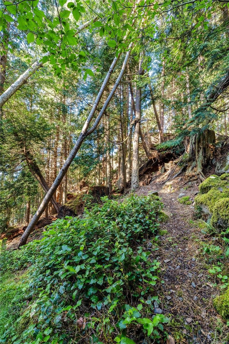 498 Marine Trnabt, Mayne Island, BC - Outdoor