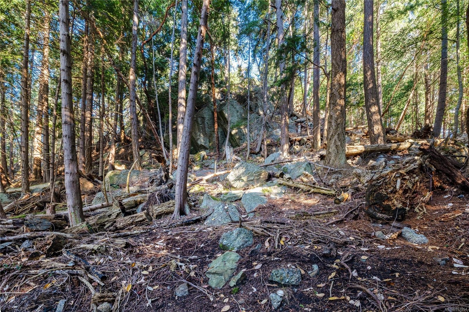 498 Marine Trnabt, Mayne Island, BC - Outdoor With View