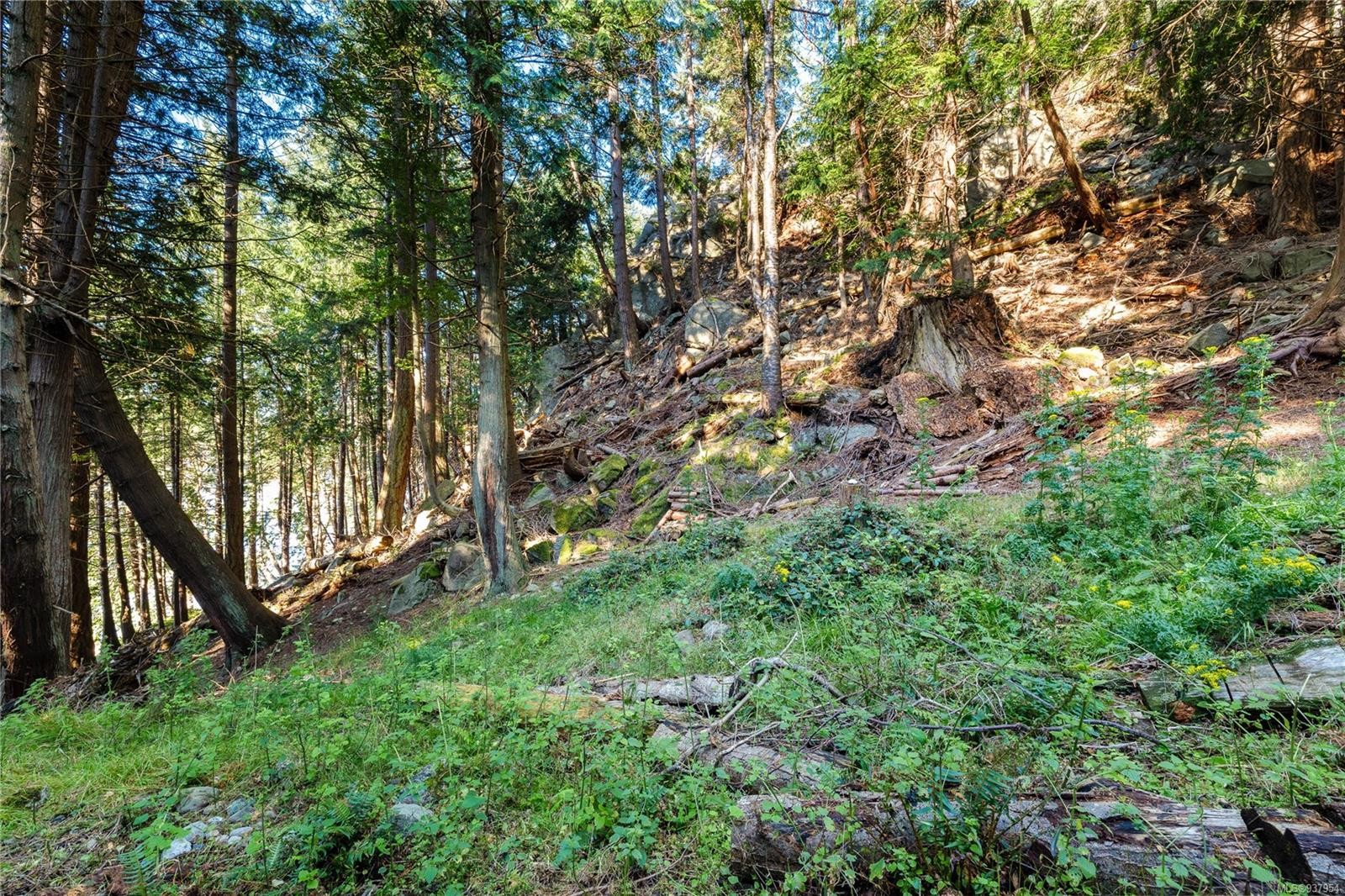 498 Marine Trnabt, Mayne Island, BC - Outdoor