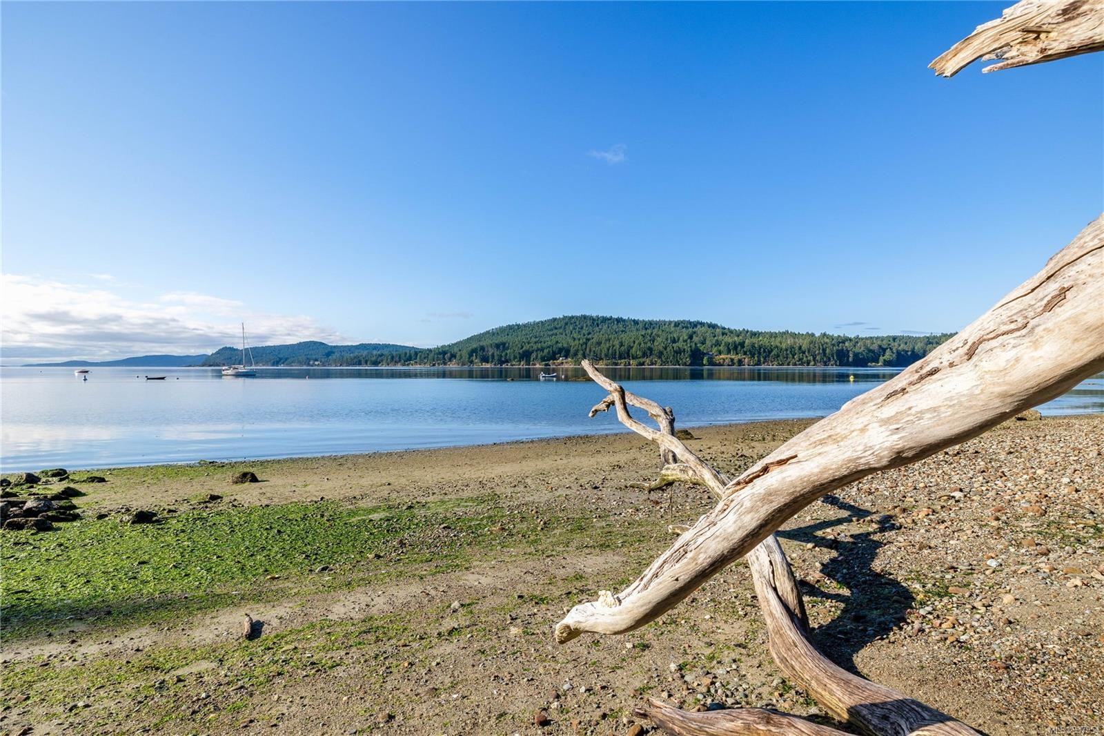 498 Marine Trnabt, Mayne Island, BC - Outdoor With Body Of Water With View