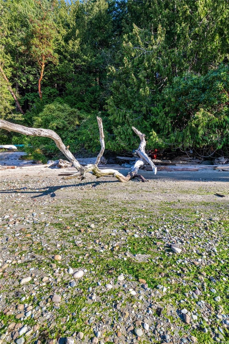 498 Marine Trnabt, Mayne Island, BC - Outdoor