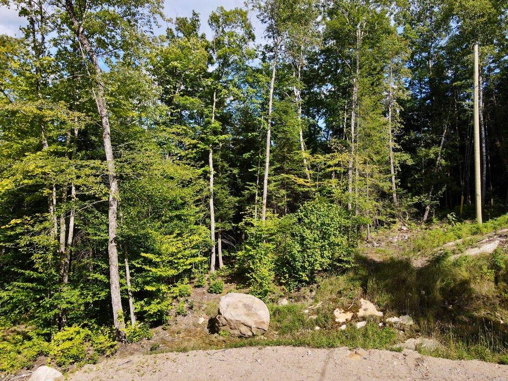 Photo aérienne - Ch. Des Grands, La Conception, QC