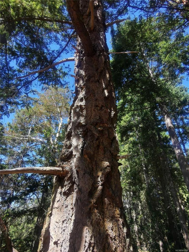 Lot 9 Beechwood Dr, Mayne Island, BC