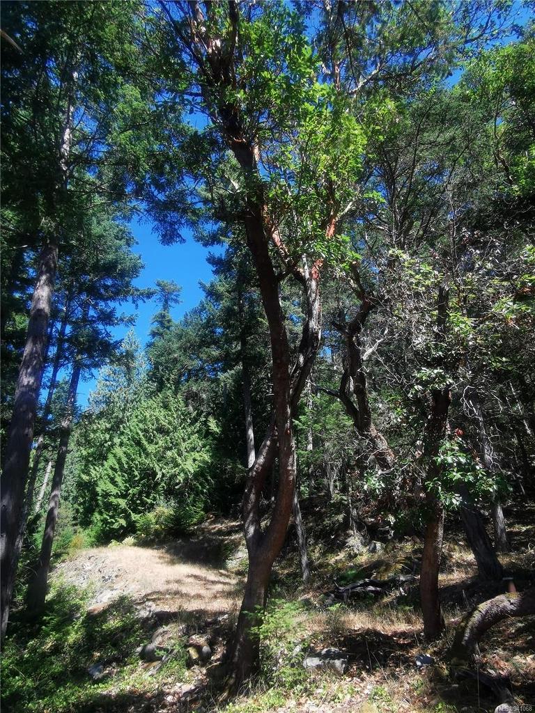 Lot 9 Beechwood Dr, Mayne Island, BC