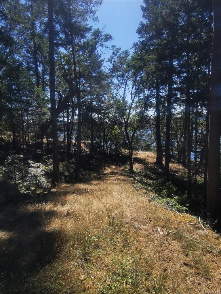 Lot 9 Beechwood Dr, Mayne Island, BC