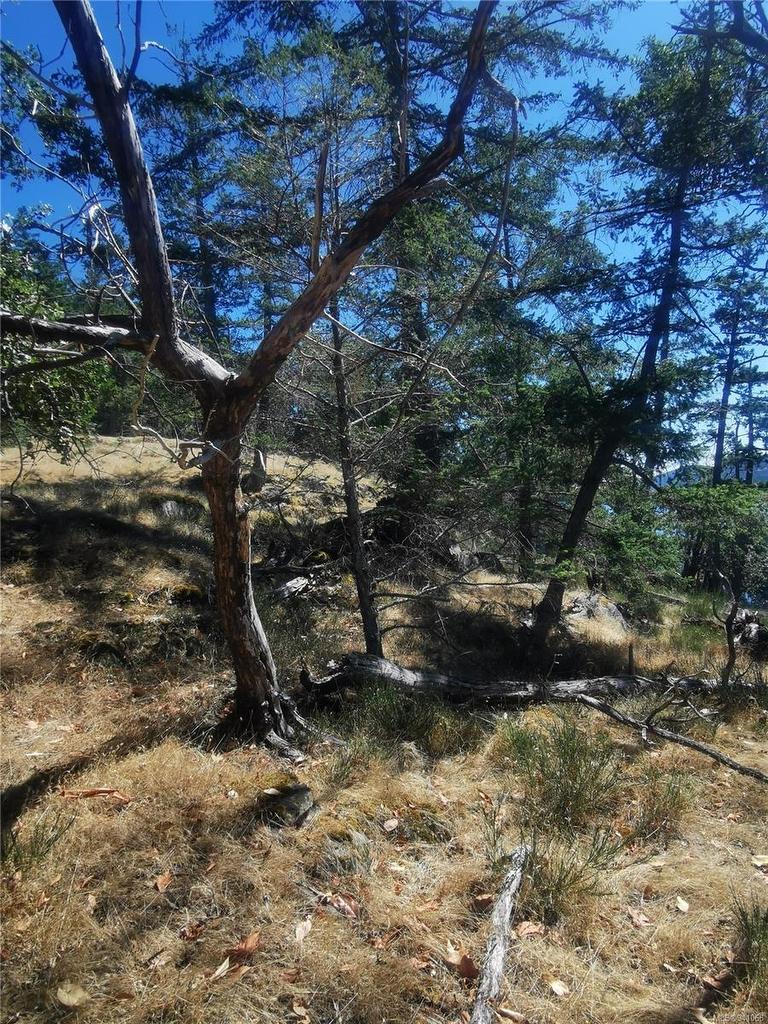 Lot 9 Beechwood Dr, Mayne Island, BC