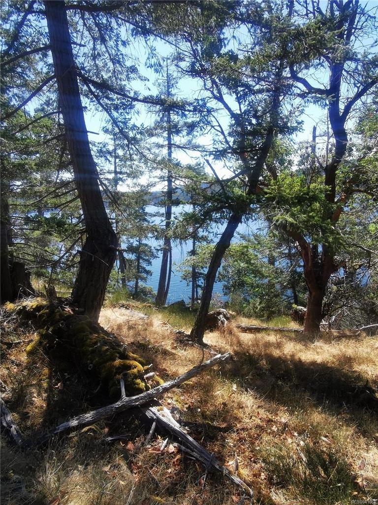 Lot 9 Beechwood Dr, Mayne Island, BC