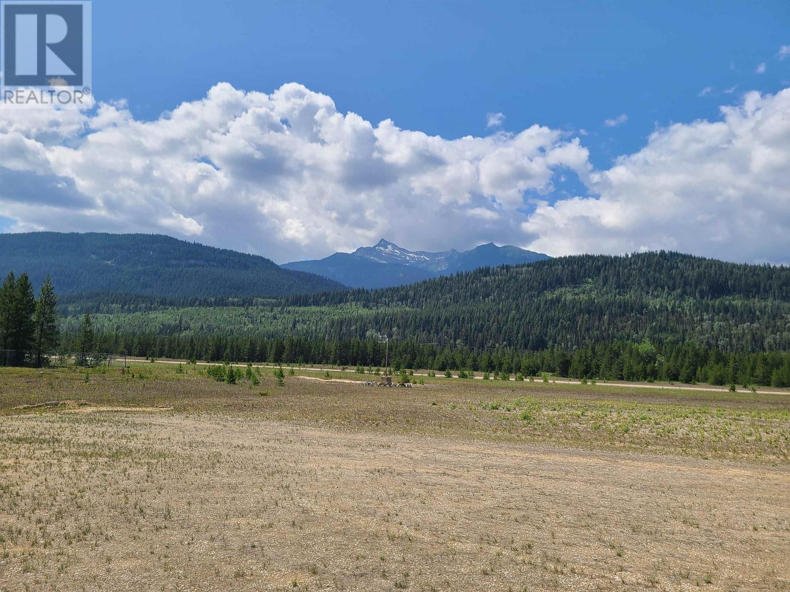 2 5700 Crooked Creek Road, Valemount, BC