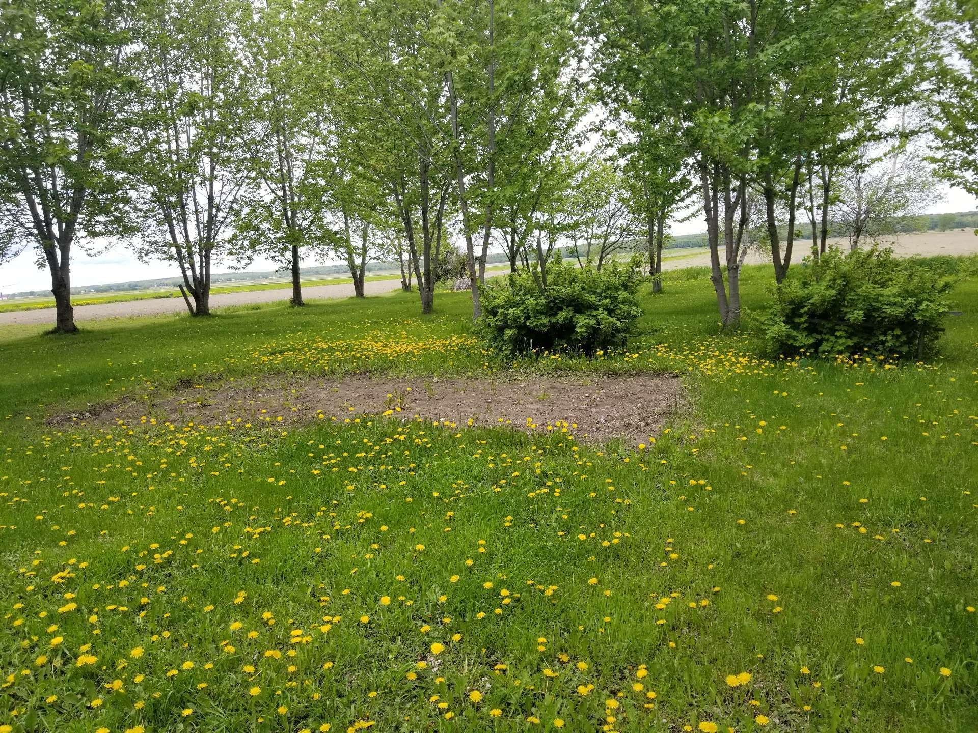 Boisé - 1950 Boul. Bécancour, Bécancour, QC - Outdoor With View
