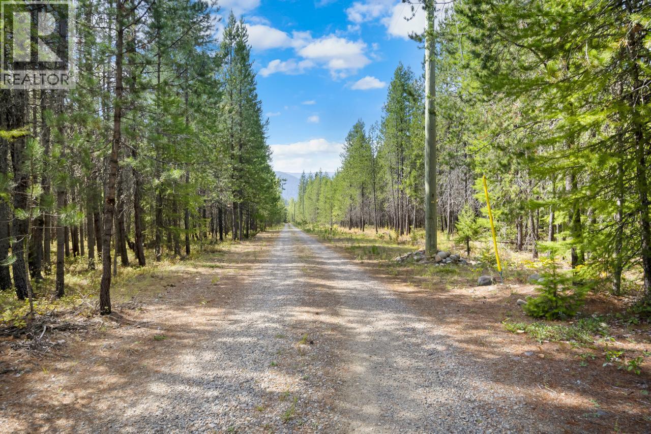 7602 95 Highway, Kingsgate, BC - Outdoor With View