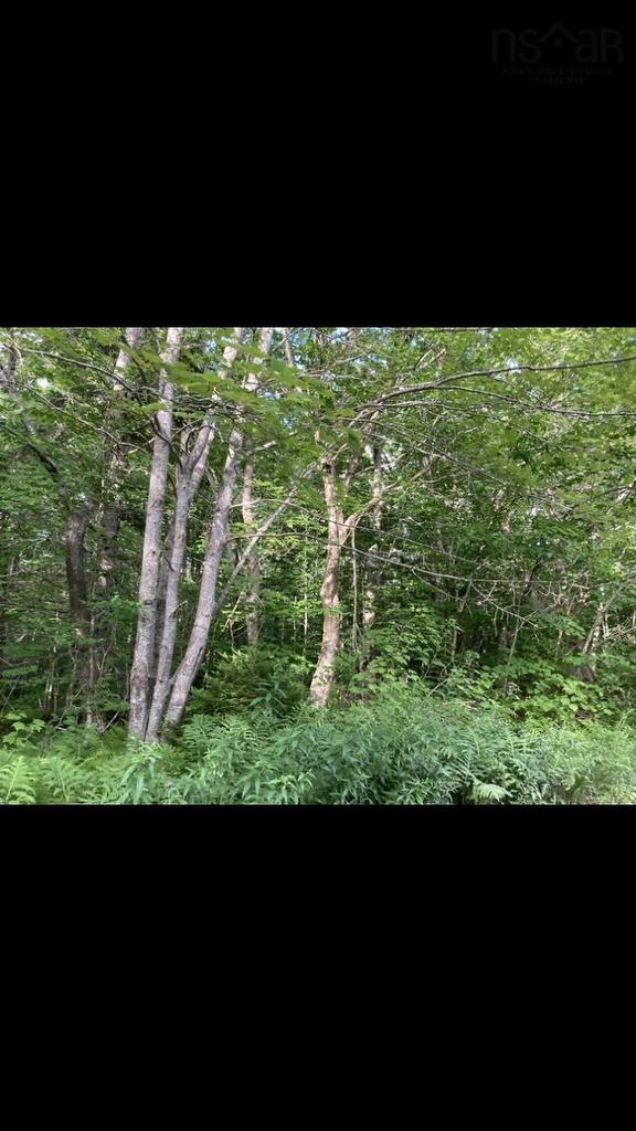 Simon'S Rd., Frankville, NS