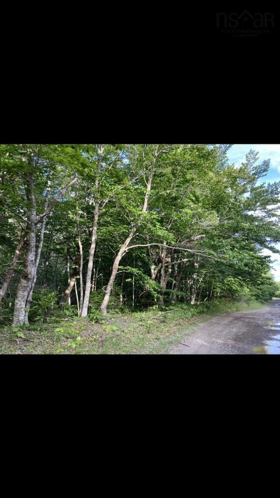 Simon'S Rd., Frankville, NS