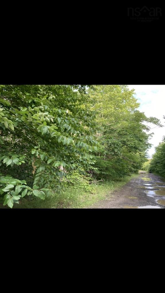 Simon'S Rd., Frankville, NS