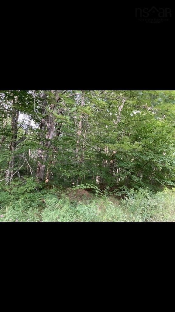 Simon'S Rd., Frankville, NS