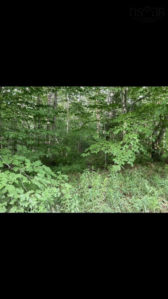 Simon'S Rd., Frankville, NS