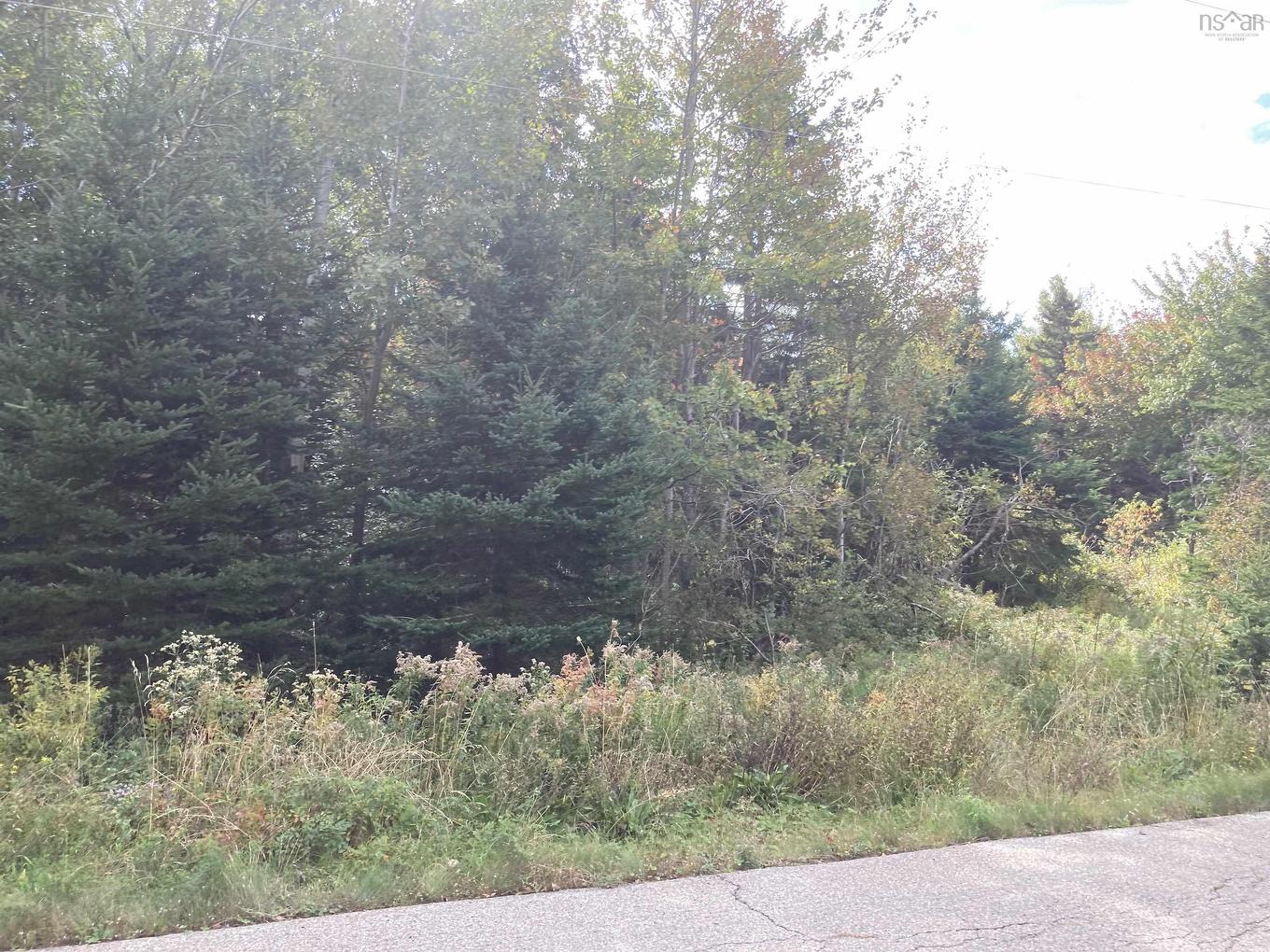 Frankville Rd., Frankville, NS