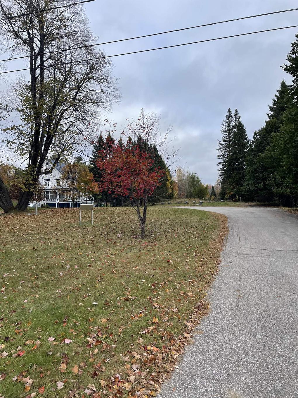 Extérieur - 2292 Rue Du Sacré-Coeur, Nominingue, QC - Outdoor