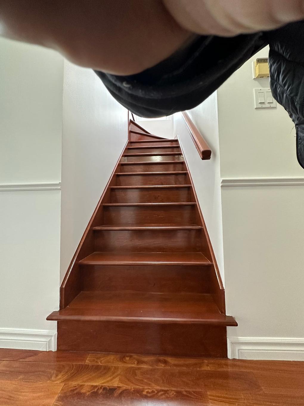Staircase - 2235 Rue De L'Aéroport, Saint-Mathieu-De-Beloeil, QC - Indoor Photo Showing Other Room