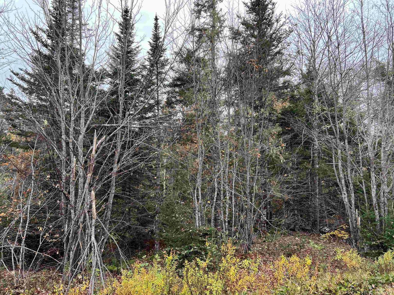 Highway 348 Highway, Glenelg, NS