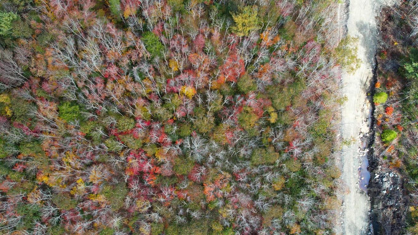 106 Morton Drive, Liverpool, NS