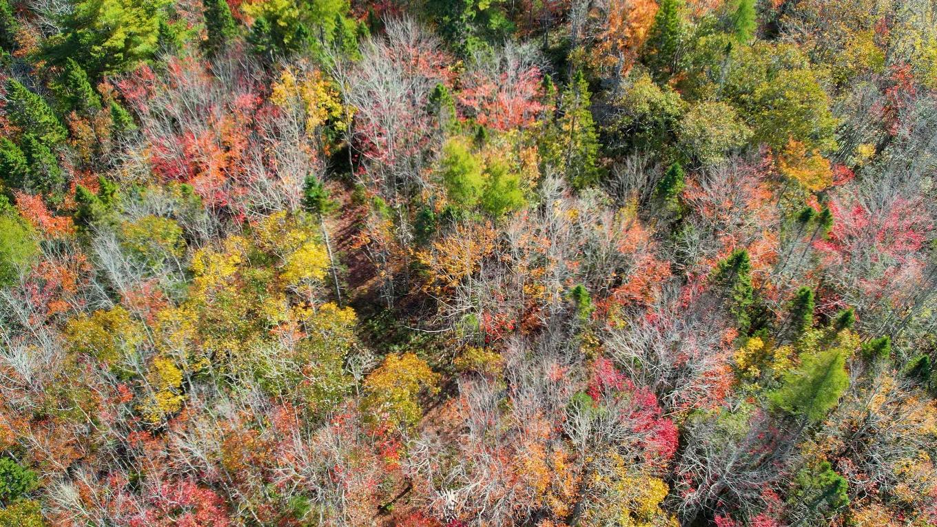 106 Morton Drive, Liverpool, NS