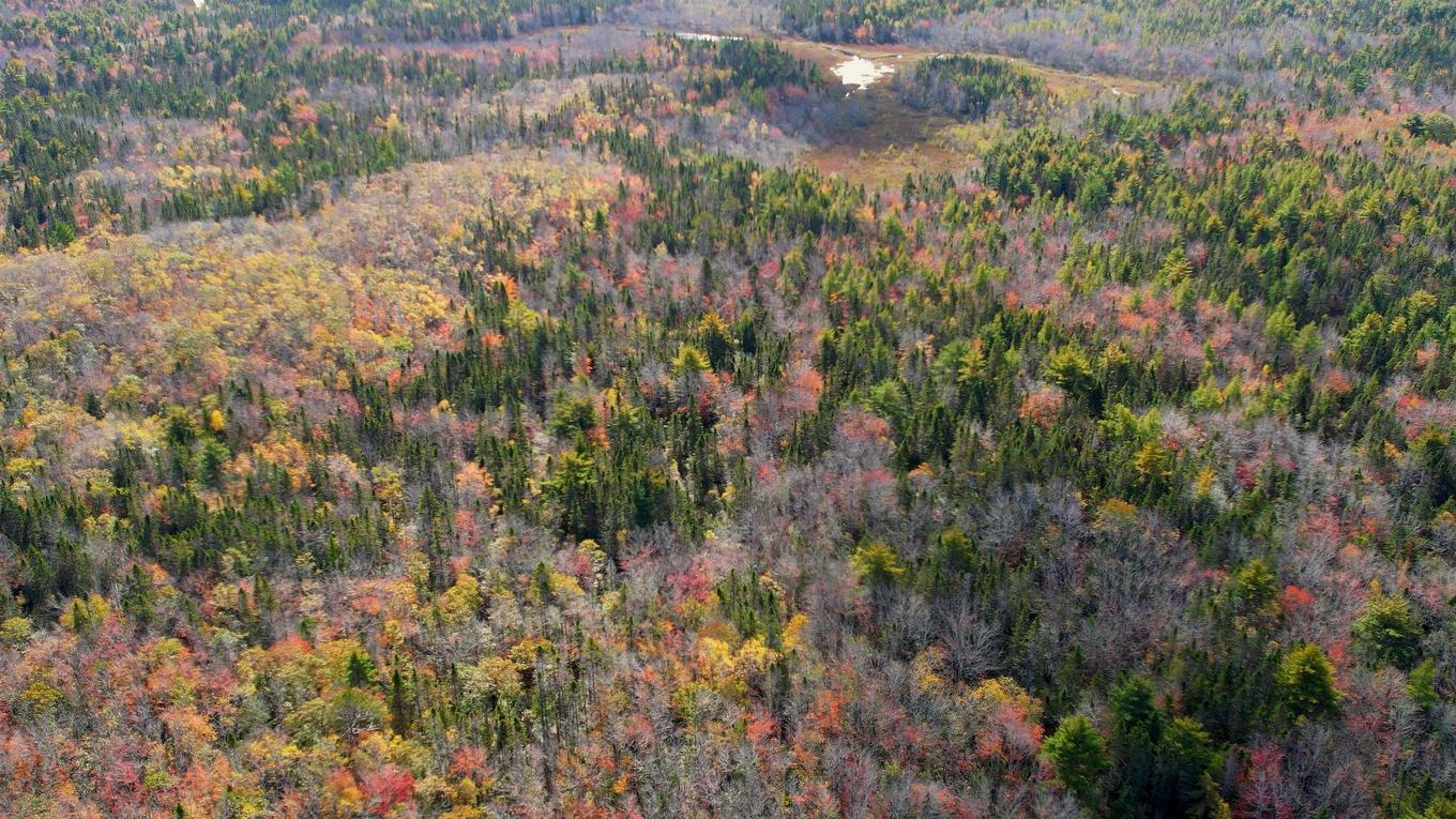 106 Morton Drive, Liverpool, NS