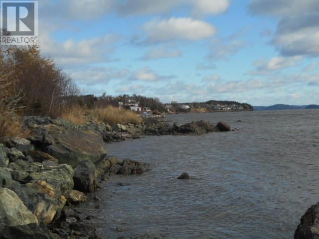 313 Main Street, Springdale, NL