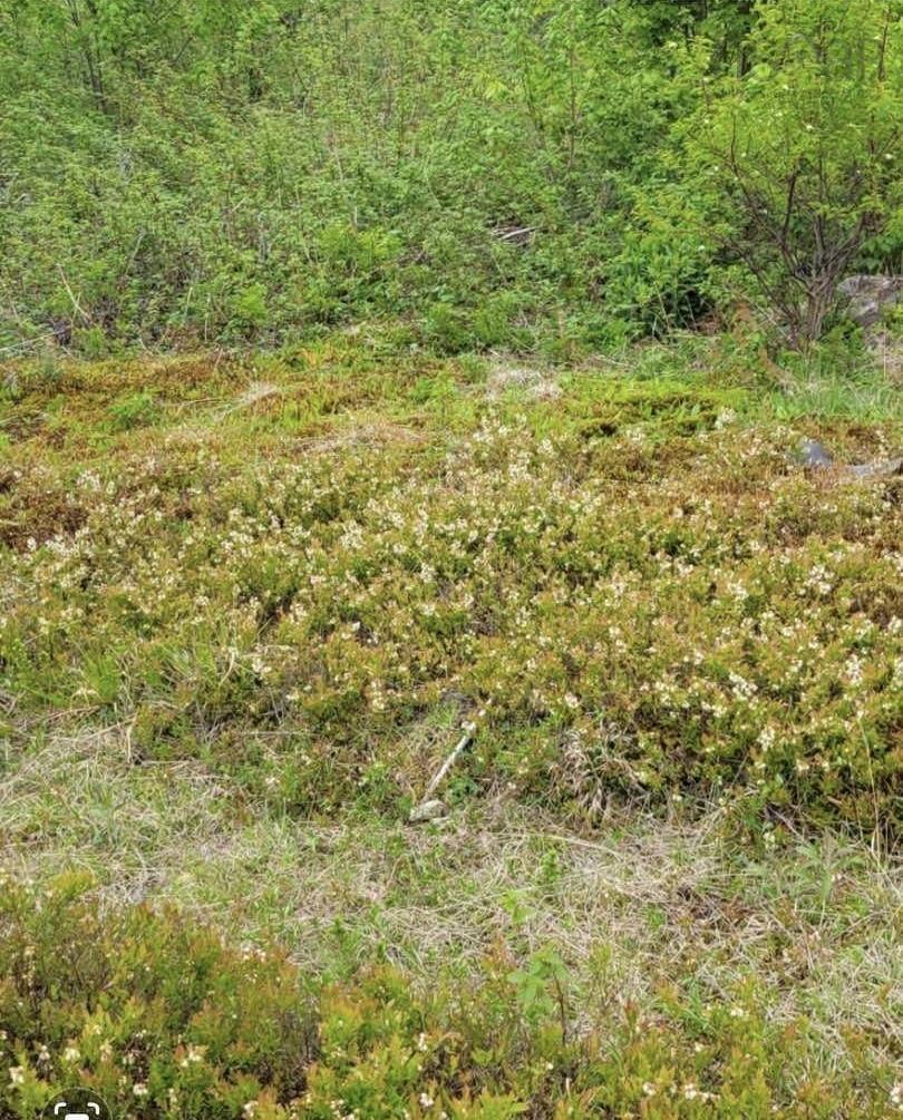 West Side Lochaber Road, West Lochaber, NS